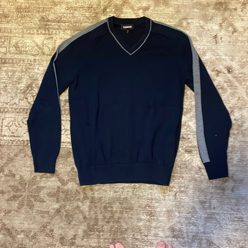 Express V-neck sweater